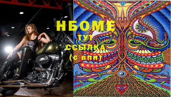 ПСИЛОЦИБИНОВЫЕ ГРИБЫ Кинешма