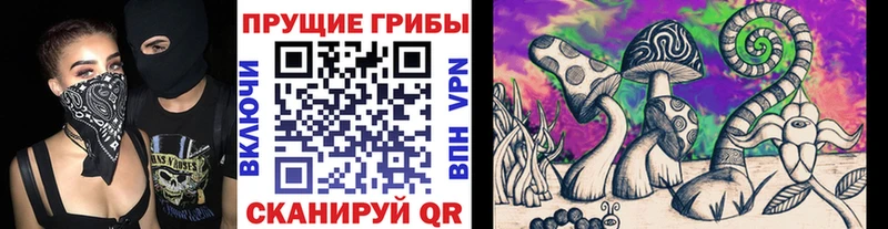 Псилоцибиновые грибы GOLDEN TEACHER Волжск