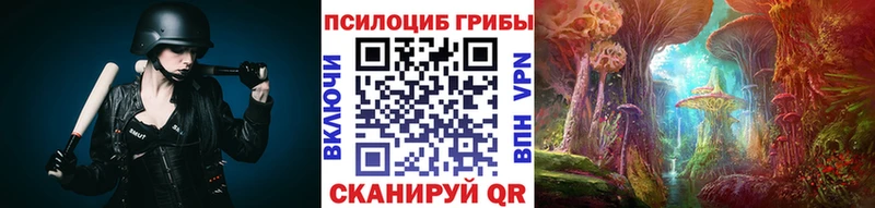 Купить Волжск Галлюциногенные грибы GOLDEN TEACHER